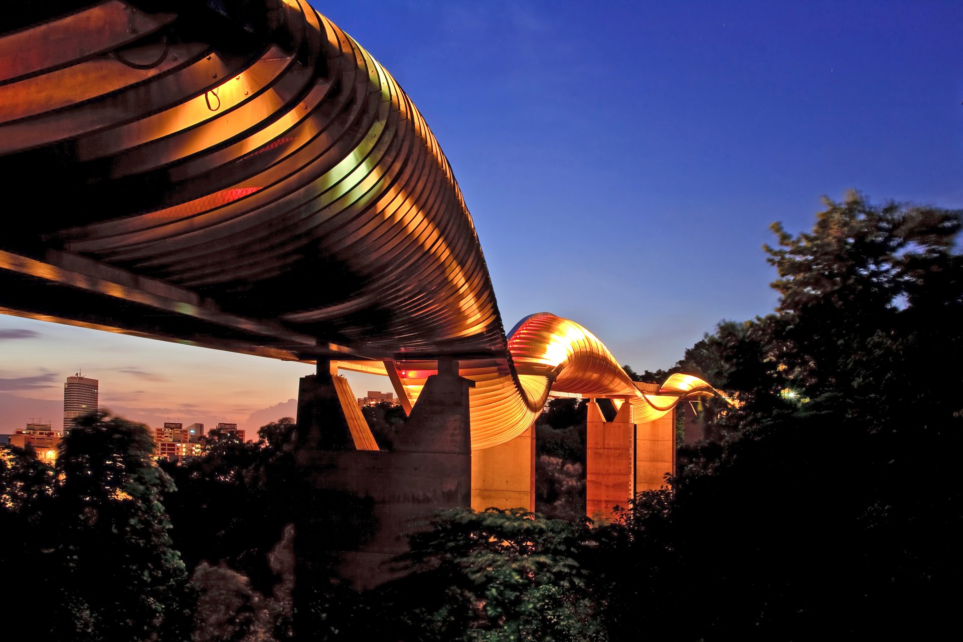 Henderson Waves Bridge, featured in ACE's project portfolio